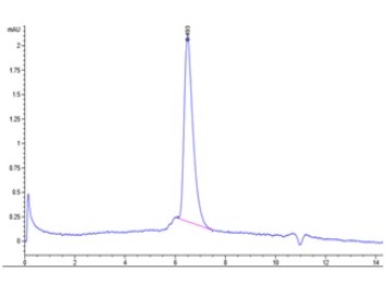 SEC-HPLC MMP9-780HB.jpg